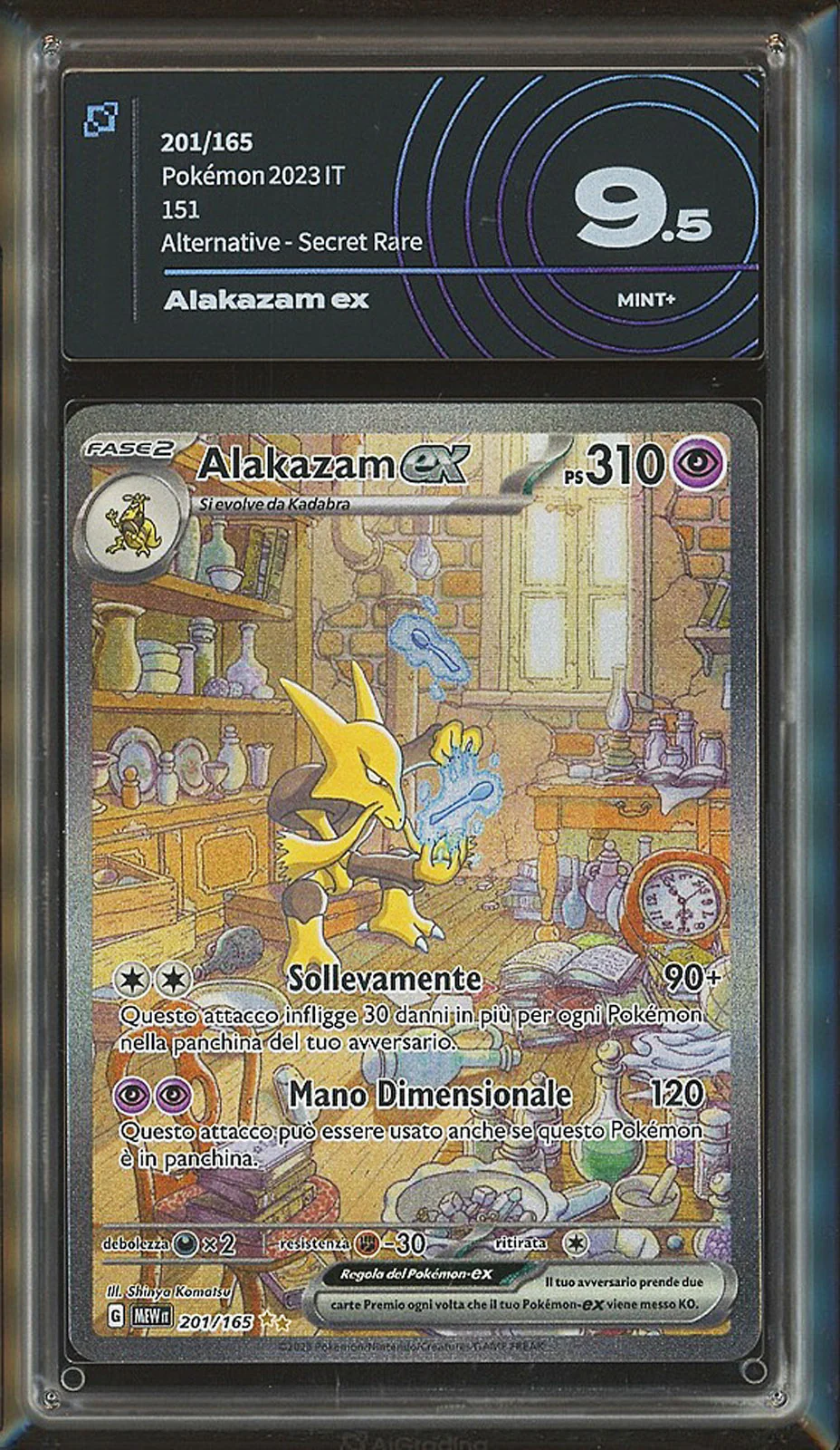 Miniatura 1