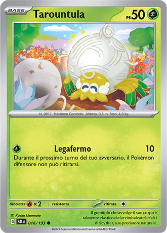 Immagine prodotto 1