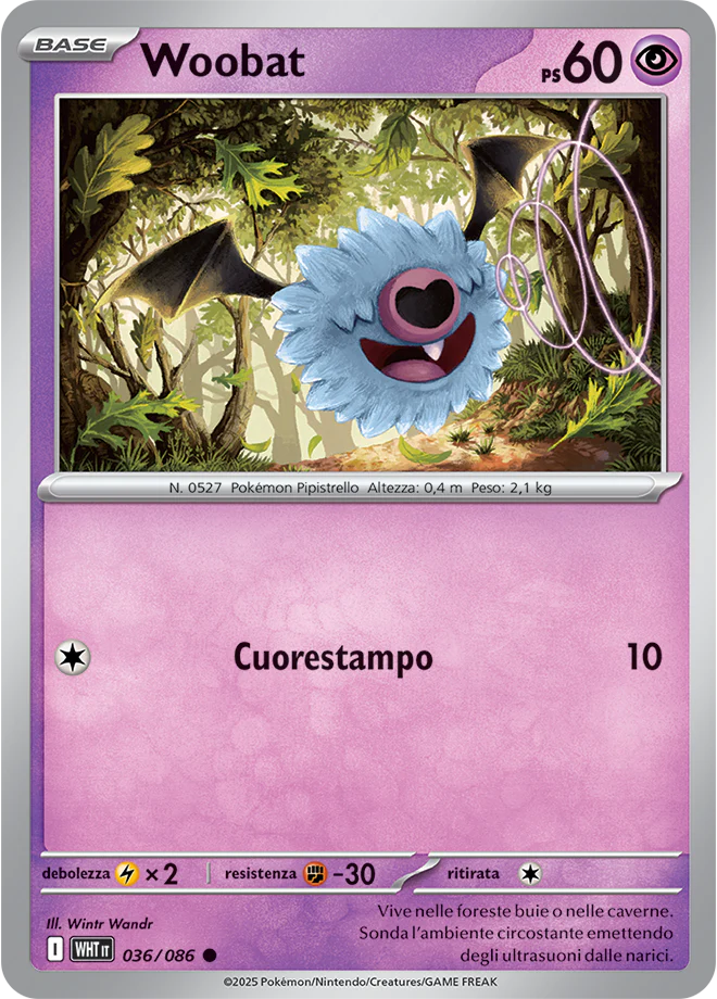 Immagine prodotto 1